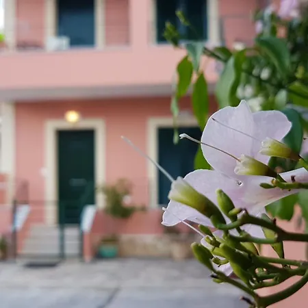 Appartement Filoxenia Corfu Dahlia And Jasmine